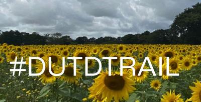 the sunflower walk and DUTD trail  in East Chiltington